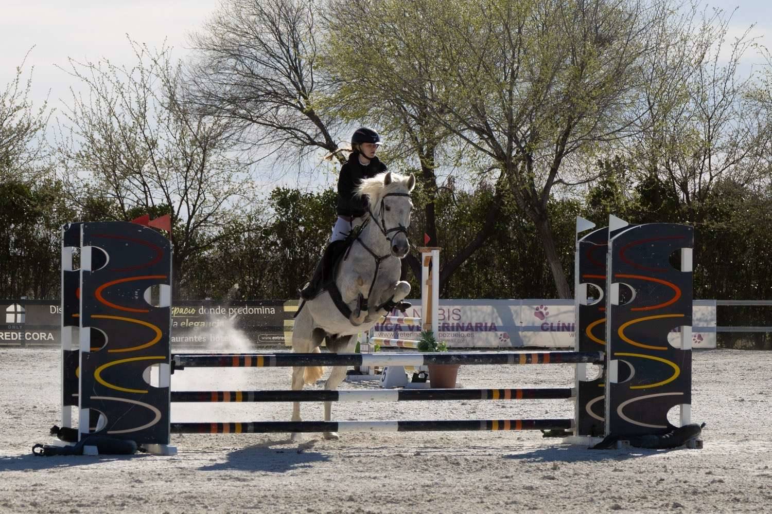 images.ashx?id=28e590a836bd539722a18960c9d05212 images.ashx?id=28e590a836bd539722a18960c9d05212