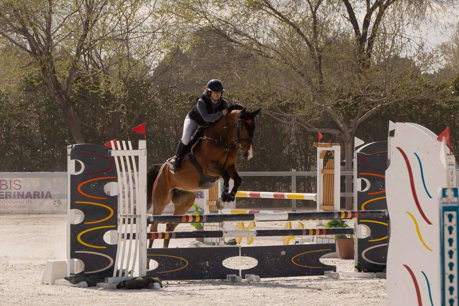 images.ashx?id=b030836fa1c7ca1da28756f064abe2af images.ashx?id=b030836fa1c7ca1da28756f064abe2af